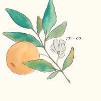 Joy + Company logo - Similar company to Malkan Interactive Communications, Llc