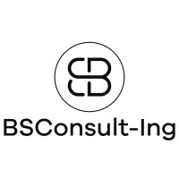 BSConsult-Ing logo - Similar company to Pezzo Ingenierie