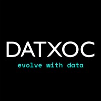 DATXOC.COM logo - Similar company to Dataistan