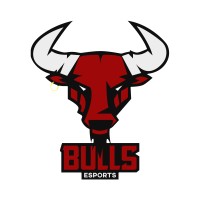 BULLS Esports logo - Similar company to Row Tv