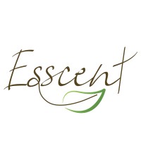 Esscent by Arpan logo - Similar company to Breez Builders And Developers