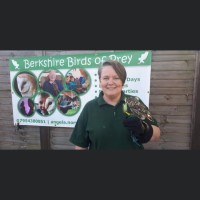 Berkshire Birds of Prey logo - Similar company to Evoke Entertainment