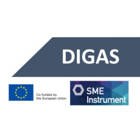 DIGAS logo - Similar company to Integrallis