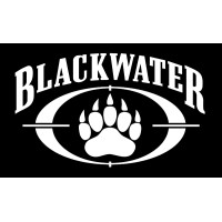 Blackwater International FZCO  -  Blackwater Legal Advisors FZE logo - Similar company to Epicus Trading