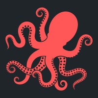 The Local Octopus Foundation logo - Similar company to Rock The Ocean Foundation