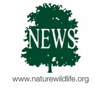 NEWSforNature logo - Similar company to Econiche