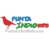 Punta Indio Web logo - Similar company to Armada Argentina - Base Aeronaval Punta Indio