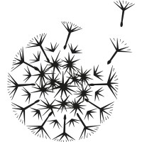 Wilder Botanics logo - Similar company to Fierce Nature