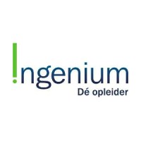 Ingenium dé Opleider logo - Similar company to Welectrify