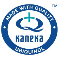 Kaneka Italia logo - Similar company to Kaneka Ms Polymer®