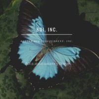 BOI Inc logo - Similar company to Boi Na Braza Brazilian Steakhouse