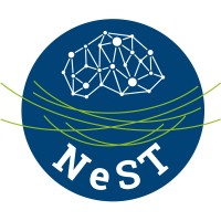 NeST : Network Stack Tester logo - Similar company to Team247 Informatics Pvt Ltd.