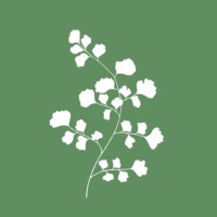 FRONDE logo - Similar company to V