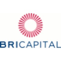 Bricapital logo - Similar company to Loopland