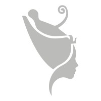 Satis Partners LLC logo - Similar company to Satis Group