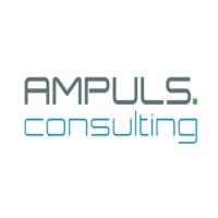 AMPULS.Consulting logo - Similar company to Sanispaces