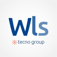 WLS Consulting logo - Similar company to Shoplix
