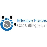 Effective Forces Consulting (Pty) Ltd logo - Similar company to Alurite