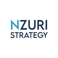 Nzuri Strategy logo - Similar company to Msu Designathon