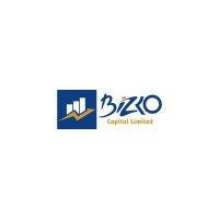 BIZKO CAPITAL LIMITED logo - Similar company to Kkante Group