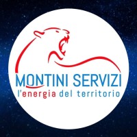 Montini Servizi logo - Similar company to Felix Energy Consulting