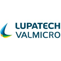 Valmicro logo - Similar company to Micromazza Indústria De Válvulas Ltda