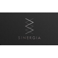Sinergia Kapital logo - Similar company to Bella Hotel