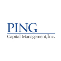 Ping Capital Management Ltd logo - Similar company to Telk Group