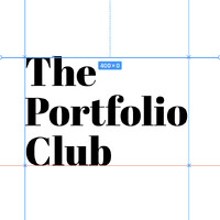 The Portfolio Club logo - Similar company to Steve Doran