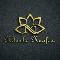 Nelumbo Nucifera Bags logo - Similar company to Acumentricks