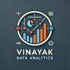 Vinayak Data Analytics logo - Similar company to Phoenix Technosys