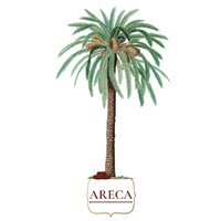 Areca logo - Similar company to Virtue Byte