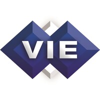Virtual Information Executives