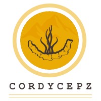Cordycepz Cure logo - Similar company to Sutra Labs