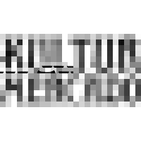 Kultur Mercado logo - Similar company to If And Only If (Iff) Technologies