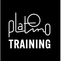 Platino Training logo - Similar company to Platino Educa