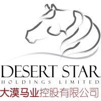 Desert Star Holding logo - Similar company to Compuserve Security Services