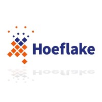 Hoeflake logo - Similar company to Vdl Mast Solutions