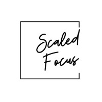 Scaled Focus logo - Similar company to Meshvy