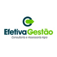 Efetiva Gestão Consultoria e Assessoria logo - Similar company to Rm Agro
