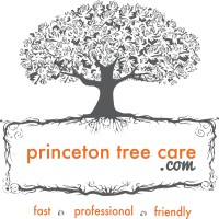 Princeton Tree Care logo - Similar company to Treeserve