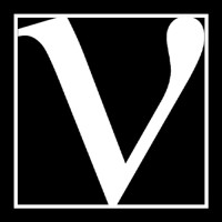 Vega logo - Similar company to Lambda It Development