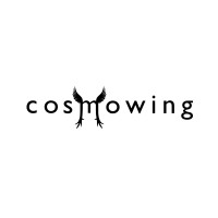 Cosmowing logo - Similar company to Psqdc Lean Consultancy