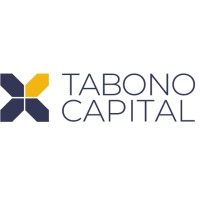 Tabono Capital logo - Similar company to Velthrad Consultants