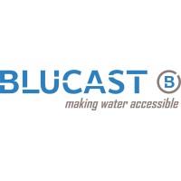 BLUCAST JSC logo - Similar company to Domex Group