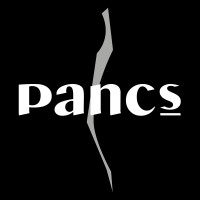 Pancs logo - Similar company to Art&Films