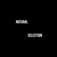Natural Selection logo - Similar company to Yools