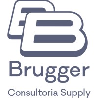 Brugger Consultoria logo - Similar company to Any Consulting
