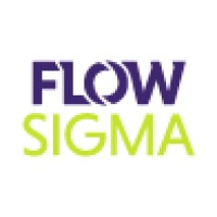 FLOWSIGMA, Inc. logo - Similar company to Illuminatio Medical Technology