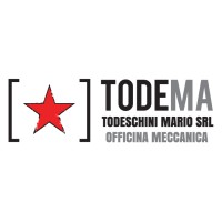 [TODEMA] Todeschini Mario S.r.l. logo - Similar company to Rebel Dynamics